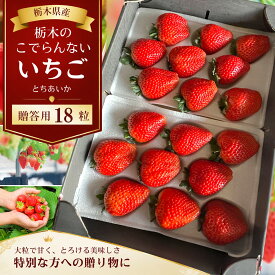 【ふるさと納税】【2027年1月発送】栃木のこでらんないイチゴ（とちあいか）18粒 | 果物 厳選 朝摘み フルーツ スイーツ 甘い 人気 好評価 送料無料 大粒 ジューシー 映え 産地直送 栃木県 真岡市