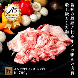 【ふるさと納税】とちぎ和牛 A5 スジ肉 約 700g ｜ 国産 和牛 牛 肉 生産者 認定 銘柄 A5 旨味 うまみ きめ細かい 品質 柔らかく 芸術品 特産品 栃木県 真岡市 送料無料 栃木県共通返礼品