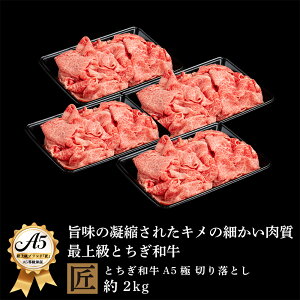 yӂ邳Ɣ[ŁzƂa A5 ؂藎Ƃ  2kg b Y a   Y F  A5 | ܂ ߍׂ i _炩 |pi Yi Ȗ، ^s  Ȗ،ʕԗi