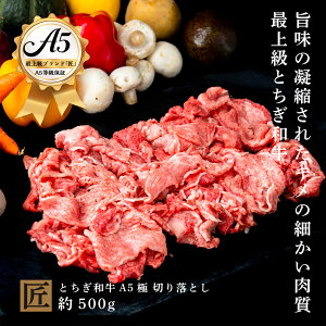 yӂ邳Ɣ[ŁzƂa A5 ؂藎Ƃ  500g b Y a   Y F  A5 | ܂ ߍׂ i _炩 |pi Yi Ȗ، ^s  Ȗ،ʕԗi