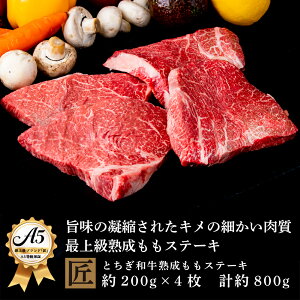 yӂ邳Ɣ[ŁzƂa A5n Xe[Lp 200g×4b Y a   Y F  A5 | ܂ ߍׂ TV ~ Ƃ낯 i _炩   |