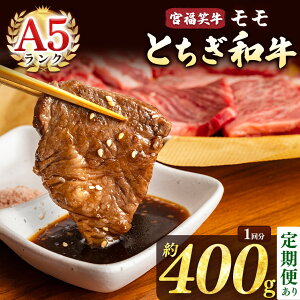 yӂ邳Ɣ[Łz {΋iƂaj A5  Ă 400g |  a  Xe[L Ă Ԃ ē @400g   3 6 12 Pi Ȗ،ʕԗi Ȗ،