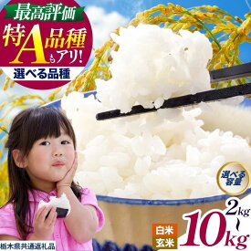 【ふるさと納税】お米 白米 玄米 こしひかり 選べる | 米 こめ コメ コシヒカリ とちぎの星 にじのきらめき ミルキークイーン いちご 農家さん応援米 こしひかり 訳あり 2kg 4kg 5kg 10kg | 数量限定 人気 栃木県 真岡市 送料無料 栃木県共通返礼品