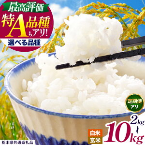 yӂ邳Ɣ[Łz 󂠂  Iׂ     Ђ |   R RVqJ Ƃ̐ ɂ̂߂ ~L[NC[ s\  _Ƃ񉞉 Ђ