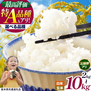 �y�ӂ邳�Ɣ[�Łz �󂠂� ���� �I�ׂ� ����� ���� ���� ���� �����Ђ��� | �� ���� �R�� �R�V�q�J�� �Ƃ����̐� �ɂ��̂���߂� �~���L�[�N�C�[�� ������ �_�Ƃ��񉞉��� �����Ђ��� 2kg 4kg 5k