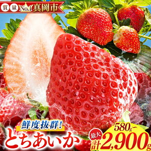 yӂ邳Ɣ[Łzys\zNxQ Ƃ 580`2900g | Iׂ e 1 2 3 4 5 { Yn 嗱 ~ o   C`S Xgx[ 傫 W[V[ Â ܂ 