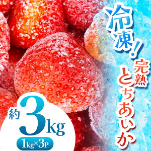 yӂ邳Ɣ[Łzn Ⓚ Ƃ 1kg 2kg 3kg | s\ 2026N  C`S  t[c ʕ 󂠂 s | Iׂ Ⓚ XC[c W X[W[ Ղ 嗱 Â  f