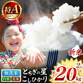 【ふるさと納税】楽天限定 訳あり 選べる 無洗米 新米 令和7年度 米 こめ コメ 白米 精米 こしひかり コシヒカリ とちぎの星 食べ比べ | 10月 11月 12月 2kg 5kg 10kg 20kg ごはん ゴハン ご飯 美味しい おいしい 旨い ふっくら お米 おこめ 栃木 栃木県 真岡市 送料無料
