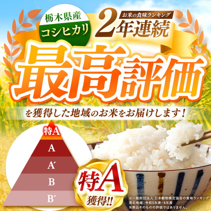 楽天市場】【ふるさと納税】お米 こしひかり とちぎの星 選べる 白米 
