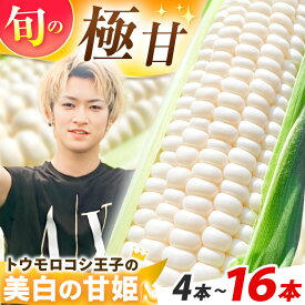 【ふるさと納税】朝採れ 農家直送 産地直送 生食 スイーツコーン プレミアム トウモロコシ 王子の「美白の甘姫」選べる 本数 | 【2026年7月上旬先行予約】トウモロコシ とうもろこし 白とうもろこし 甘姫 甘い 美味しい 希少 珍しい おやつ 栃木県 真岡市 送料無料