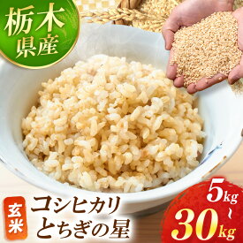 【ふるさと納税】 訳あり 選べる お米 米 こめ コメ こしひかり コシヒカリ とちぎの星 新鮮 鮮度 ｜ 内容量 品種 5kg 10kg 20kg 30kg | 美味しい おにぎり おかず お米 栃木県 真岡市 送料無料 備蓄米