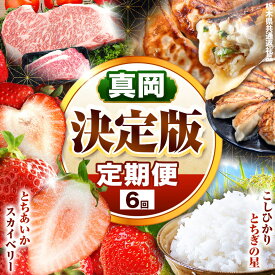 【ふるさと納税】 栃木 定期便 真岡の 魅力 満載 定期便6回 | いちご とちあいか スカイベリー 餃子 とちぎ和牛 こしひかり とちぎの星 お米 白米 米 苺 イチゴ ストロベリー たじまや サーロイン グルメ セット | 数量限定 数量 限定 魅力 満載 栃木県 真岡市 送料無料