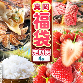 【ふるさと納税】 栃木 福袋 定期便 | 真岡の グルメ 満載 定期便 4回 | グルメ セット 定期便 豪華 数量限定 数量 限定 魅力 満載 いちご 餃子 米 こめ お米 ご飯 肉 A5栃木県 真岡市 送料無料 オススメ 春夏秋冬 人気 数量限定