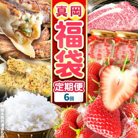 【ふるさと納税】真岡の グルメ 満載 定期便6回 | グルメ セット 定期便 豪華 数量限定 数量 限定 魅力 満載 栃木県 真岡市 送料無料