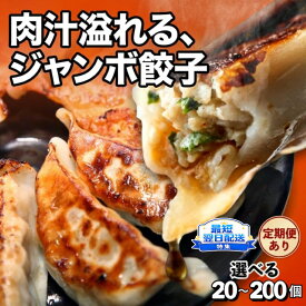 【ふるさと納税】＼最短翌日配送特集 8/31迄／ 餃子 高評価★4.88 宇都宮 餃子 大きい 選べる20個～200個 定期便 ｜ ふるさと納税 餃子 ランキング ぎょうざ ギョーザ 冷凍餃子 惣菜 大容量 おかず おつまみ 国産 豚肉 野菜 点心 中華 宇都宮餃子 栃木県 真岡市 送料無料