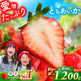 【ふるさと納税】愛され いちご王国のとちあいか 選べる 訳あり 600g 1200g 1050g｜2026年 先行予約 1月 2月 3月 4月 苺 いちご イチゴ ストロベリー strawberry 厳選 手作り 特産品 美味しい おいしい 旨い 美味い 人気 旬 新鮮 栃木県 真岡市 送料無料
