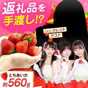 �y�ӂ邳�Ɣ[�Łz � ���� ���n�����܂��I ���ʊ�� �������ӂ��� �Ƃ������� 560g ���ʌ��� �~�X ������ ��n�� �̌� �Q���� | �a�J �l�C �C�x���g � �C�`�S �X�g���x���[ strawberry ����������