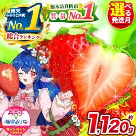 【ふるさと納税】いちご 最旬 とちあいか 1,120g 楽天限定 栃宮るりは × 真岡市 コラボレーション企画 | 2026年 1月 2月 3月 発送 フルーツ 贈答 苺 オリジナル 缶バッジ ご当地 栃宮 るりは 下野新聞 Vチューバー Vtuber グッズ かわいい 可愛い おしゃれ 栃木県 送料無料