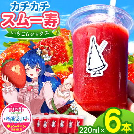 【ふるさと納税】スムージー 寿氷 いちご 6 (シックス) とちあいか 6個セット スモール ｜ 12月以降 発送 いちご イチゴ スイーツ フルーツ ご褒美 プレゼント おもてなし 贈答 220ml 氷菓 アイス 特産品 旬 夏 栃木県 真岡市 送料無料