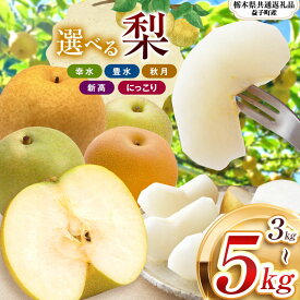 【ふるさと納税】梨 栃木県産 なし 幸水 豊水 秋月 新高 にっこり 【楽天限定】 2026年 品種 選べる | お取り寄せ 果物 くだもの フルーツ プレゼント ご褒美 甘い 贈答 秋 大きい 高評価 ナシ 8月 9月 10月 栃木県 真岡市 送料無料 栃木県共通返礼品(益子町産)