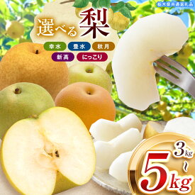 【ふるさと納税】栃木県産 なし 梨 幸水 豊水 秋月 新高 にっこり 【楽天限定】 2026年 先行予約 品種 選べる | お取り寄せ 果物 くだもの フルーツ プレゼント ご褒美 甘い 贈答 秋 大きい 高評価 ナシ 8月 9月 10月 栃木県 真岡市 送料無料 栃木県共通返礼品