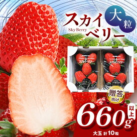 【ふるさと納税】 大粒 スカイベリー いちご 5粒×2p 贈答用 数量限定 | 楽天限定 贈答品 プレゼント 新鮮 完熟 いちご 旬 スカイベリー 苺 ストロベリー 高級 産地直送 果汁 甘い あまい 人気 高評価 有機肥料 日本一 生産 生産量 産地 王国 栃木県 真岡市 送料無料