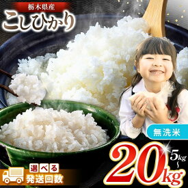【ふるさと納税】お米 こしひかり 無洗米 選べる 定期便 5kg 10kg 20kg 栃木県産｜おすすめ 精米 白米 ごはん ご飯 コシヒカリ 美味しい シャリ ふっくら おにぎり おむすび 米 こめ お米 おこめ お弁当 おいしい お取り寄せ グルメ 国産 真岡市 栃木県 限定 送料無料