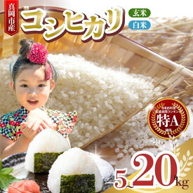 【ふるさと納税】こしひかり コシヒカリ お米 選べる 白米 精米 玄米 5kg 10kg 15kg 20kg｜ 楽天 限定 玄米 一等米 のみお届け 2025年 令和7年 コシヒカリ 色彩選別 済み 低温貯蔵 おすすめ 人気 高評価 おにぎり おこめ 米 ご飯 ごはん ライス コメ 真岡市 栃木県 送料無料