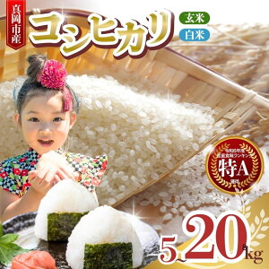 yӂ邳Ɣ[ŁzЂ RVqJ  Iׂ    5kg 10kg 15kg 20kgb yV   ꓙ ݂̂͂ 2025N ߘa7N RVqJ FʑI ς ቷ  lC 