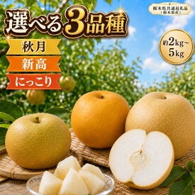 【ふるさと納税】梨 なし 選べる品種 あきづき 新高 にっこり 2kg 3kg 5kg 送料無料 | ふるさと納税梨 ふるさと納税 梨 ふるさと納税 なし ふるさと納税梨 果物 フルーツ 旬 産地直送 高糖度 大玉 完熟 特産品 デザート 栃木県共通返礼品(栃木県産) 栃木県 真岡市