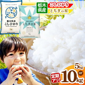 【ふるさと納税】 選べる 定期便 米 お米 こめ コメ こしひかり コシヒカリ とちぎの星 1回 3回 5kg 10kg | 白米 ごはん ご飯 人気 おいしい 旨い おにぎり おむすび お弁当 限定 栃木県産 栃木県 真岡市 送料無料