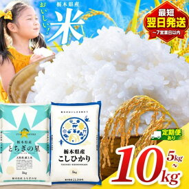 【ふるさと納税】＼最短翌日配送／米 お米 コシヒカリ とちぎの星 選べる 5kg 10kg 最短2営業日発送 送料無料 | こしひかり 栃木の星 白米 精米 令和7年産 訳あり じゃない 保存食 飯 ライス 栃木県 真岡市