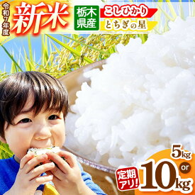 【ふるさと納税】 選べる 定期便 新米 米 お米 こめ コメ こしひかり コシヒカリ とちぎの星 1回 3回 5kg 10kg | 10月 11月 12月 2025年 秋 白米 ごはん ご飯 人気 おいしい 旨い おにぎり おむすび お弁当 限定 栃木県産 先行予約 栃木県 真岡市 送料無料