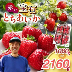 【ふるさと納税】真岡市産 赤い宝石「とちあいか」いちご イチゴ 選べる 1080g or 2160g | 苺 strawberry ストロベリー おいしい 甘い ジューシー 贈答用 プレゼント ご褒美 スイーツ おやつ 高評価 人気 レビュー 栃木県 真岡市 日本一 送料無料