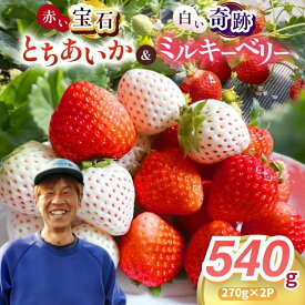 【ふるさと納税】いちご 食べ比べ 白いちご 紅白 セット 【2027年先行予約】 楽天限定 とちあいか ミルキーベリー　セット 270g×2 540g | 栃木県 真岡市 苺 イチゴ 希少種 完熟 大粒 ギフト 贈答 縁起物 スイーツ フルーツ 送料無料　【2027年1月より順次発送】