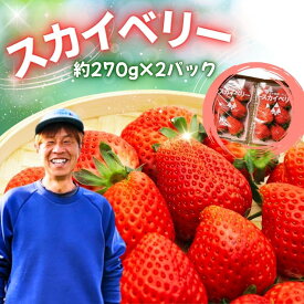 【ふるさと納税】スカイベリー　約540g(270g×2パック) 【2027年先行予約】| 赤 大粒 上品 華やか 苺 strawberry ストロベリー おいしい 甘い ジューシー 贈答用 プレゼント ご褒美 スイーツ おやつ 高評価 人気 レビュー 栃木県 真岡市 日本一 送料無料