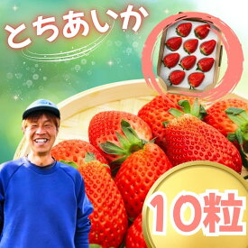 【ふるさと納税】とちあいか 10粒【2027年先行予約】 | 赤 大粒 上品 華やか 苺 strawberry ストロベリー おいしい 甘い ジューシー 贈答用 プレゼント ご褒美 スイーツ おやつ 高評価 人気 レビュー 栃木県 真岡市 日本一 送料無料