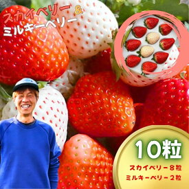 【ふるさと納税】いちご 食べ比べ 白いちご 紅白 セット 10粒【2027年 先行予約】スカイベリー 8粒 ミルキーベリー 2粒 | 栃木県 真岡市 苺 イチゴ 希少種 完熟 大粒 贈答 ギフト 縁起物 スイーツ フルーツ 果物 ストロベリー プレゼント ご褒美 人気 日本一 送料無料