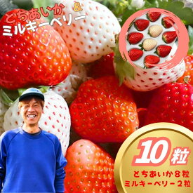 【ふるさと納税】とちあいか・ミルキーベリー 10粒【2027年先行予約】 | 赤 白 大粒 上品 華やか 苺 strawberry ストロベリー おいしい 甘い ジューシー 贈答用 プレゼント ご褒美 スイーツ おやつ 高評価 人気 レビュー 栃木県 真岡市 日本一 送料無料