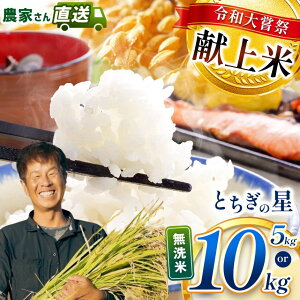 yӂ邳Ɣ[Łz      R Ƃ̐ 5kg 10kg  3 ߘa 另  | ߘa7Nx n 2025N H    Hה s\   Ђ RV