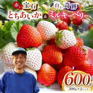 【ふるさと納税】楽天限定 真岡市産 赤い宝石「とちあいか」・白い奇跡「ミルキーベリー」セット 300g×2 600g | 2026年 1月 2月 紅白 赤 白 苺 strawberry ストロベリー おいしい 甘い 贈答用 プレゼ