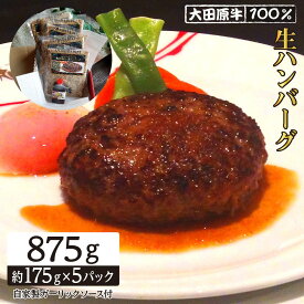 【ふるさと納税】大田原牛 100％ 生ハンバーグ 5パックセット | ブランド 和牛 牛肉 高級 ハンバーグ 自家製 ソース付き | 肉 お肉 にく 食品 人気 おすすめ 送料無料 ギフト