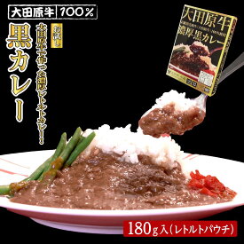 【ふるさと納税】〈お試し〉大田原牛で作った濃厚レトルトカレー！ 大田原牛 100％黒カレー 1パック | レトルト カレー 和牛 牛肉 ビーフカレー 高級