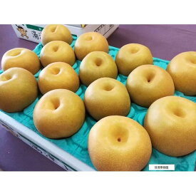 【ふるさと納税】深澤果樹園さんの梨ギフト［幸水］2.5kg（5個～7個前後） | フルーツ 果物 くだもの 食品 人気 おすすめ 送料無料