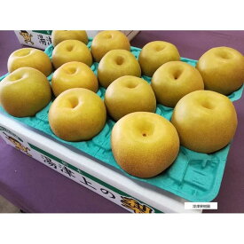 【ふるさと納税】深澤果樹園さんの梨ギフト［豊水］2.5kg（5個～7個前後） | フルーツ 果物 くだもの 食品 人気 おすすめ 送料無料