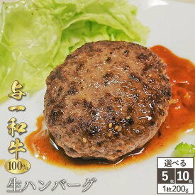 【ふるさと納税】【選択可能】与一和牛 100%生ハンバーグ　200g×5～10枚入（計2kg）