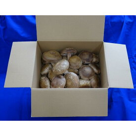 【ふるさと納税】農林水産大臣賞受賞　渡辺きのこ園の特選生しいたけ | 食品 加工食品 人気 おすすめ 送料無料