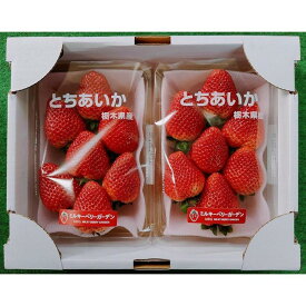 【ふるさと納税】【先行予約・朝採り・農園直送（1月~2月収穫・発送）】栃木県産とちあいか（大粒290g×2パック）×1箱 | フルーツ 果物 くだもの 食品 人気 おすすめ 送料無料