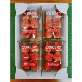 【ふるさと納税】【先行予約・朝採り・農園直送（1月~2月収穫・発送）】栃木県産とちあいか（レギュラー270g×4パック）×1箱 | フルーツ 果物 くだもの 食品 人気 おすすめ 送料無料