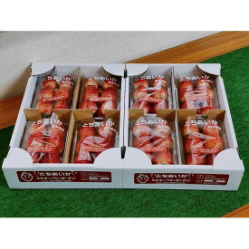 【ふるさと納税】【先行予約・朝採り・農園直送（1月~2月収穫・発送）】栃木県産とちあいか（レギュラー270g×4パック）×2箱 | フルーツ 果物 くだもの 食品 人気 おすすめ 送料無料